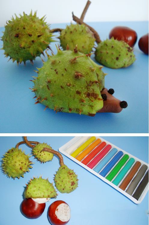 Kucing landak dari kulit kastanye