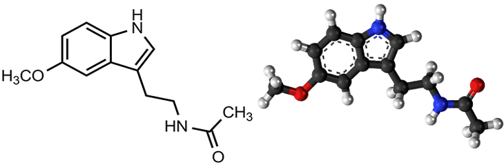 メラトニン分子