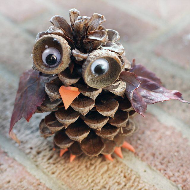 도토리와 솔방울 부엉이