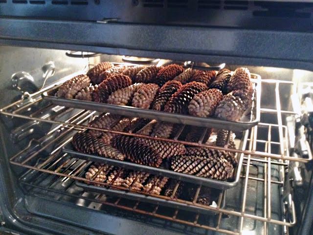 공예 재료로 솔방울 준비하기