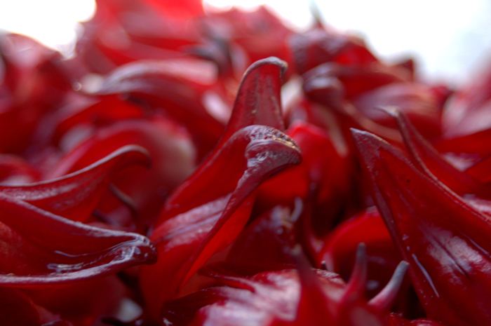 Chiết xuất hibiscus